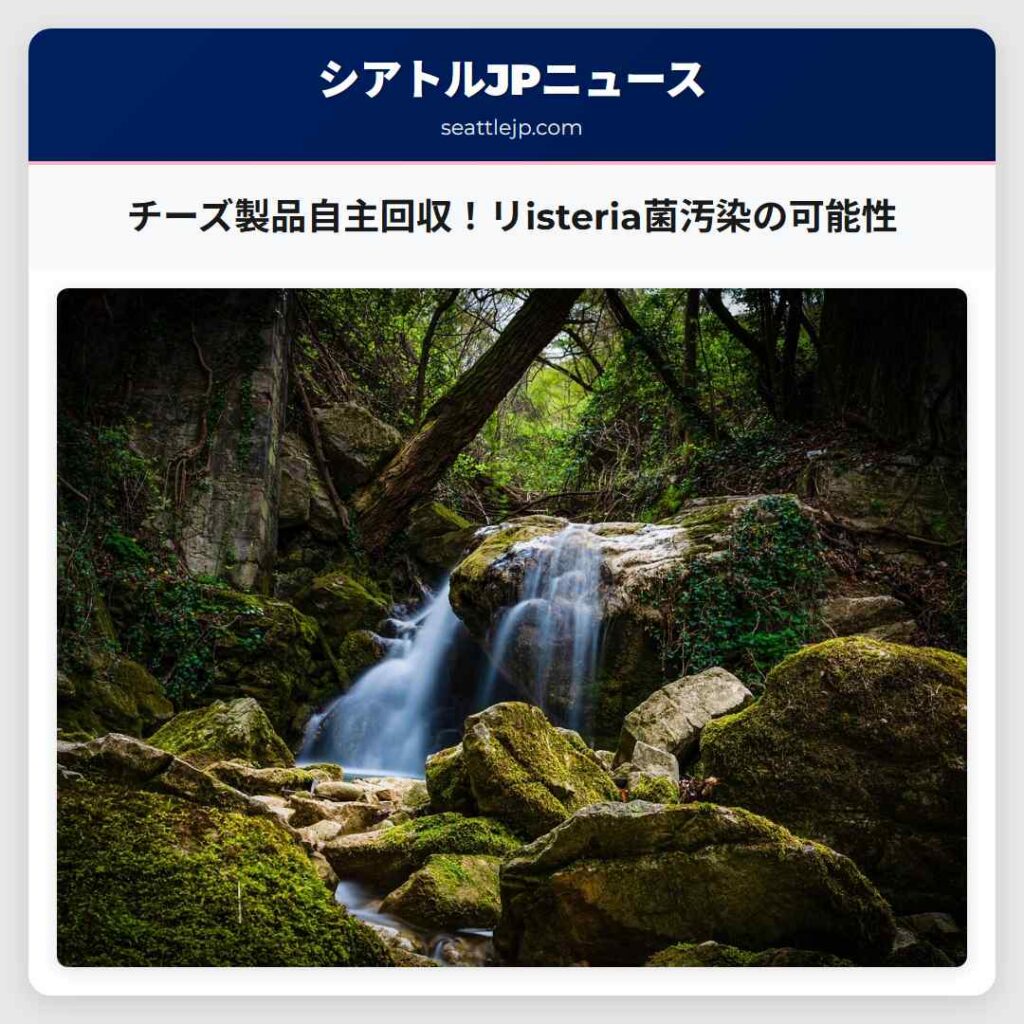 チーズ製品自主回収！リisteria菌汚染の可能性