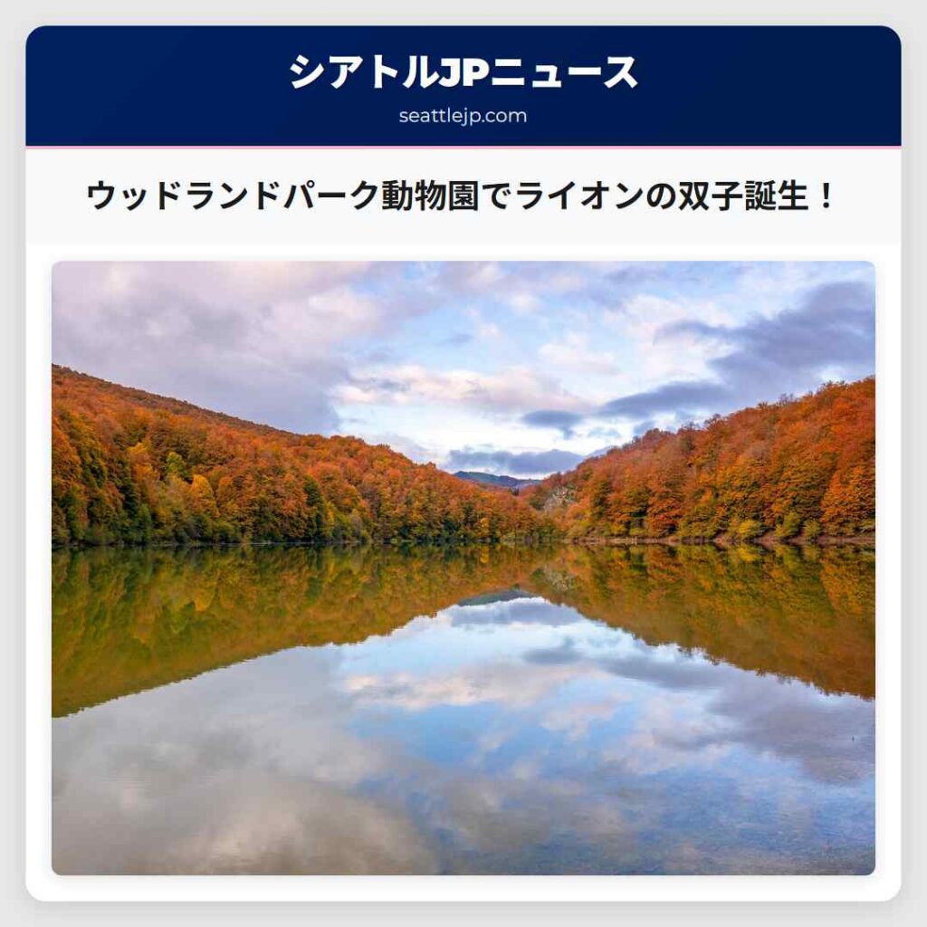 シアトルニュース 4 ウッドランドパーク動物園でライオンの双子誕生!
