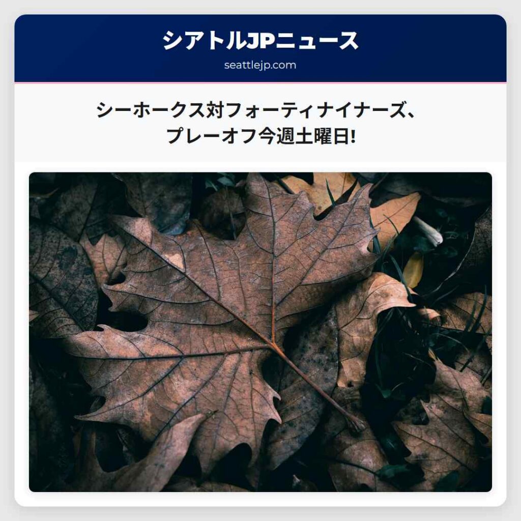 シーホークス対フォーティナイナーズ、プレーオフ今週土曜日!