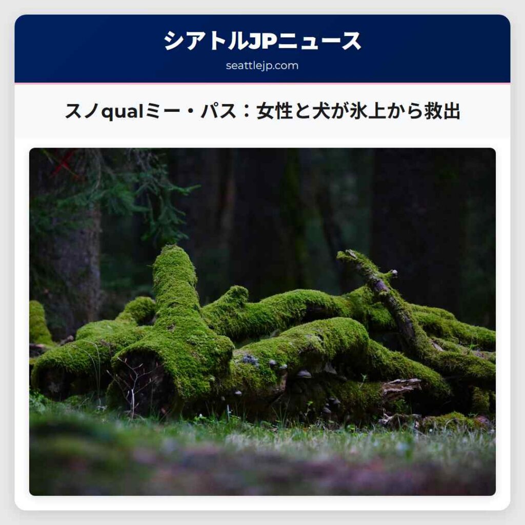 スノqualミー・パス：女性と犬が氷上から救出