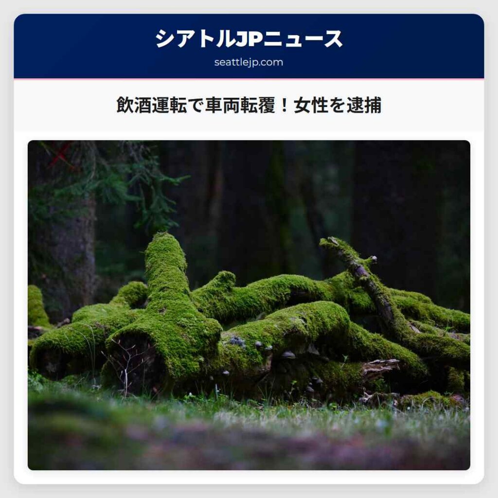 飲酒運転で車両転覆！女性を逮捕