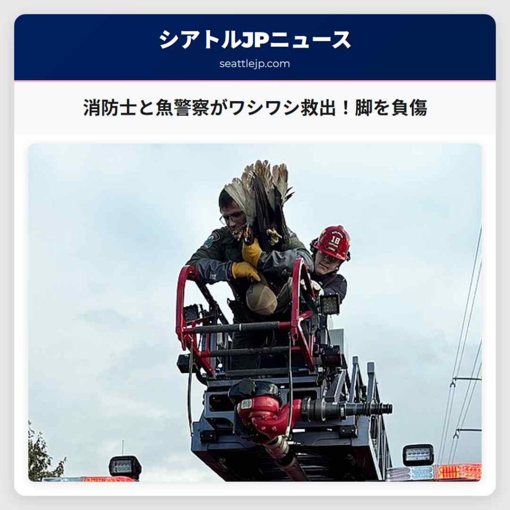 消防士と魚警察がワシワシ救出！脚を負傷
