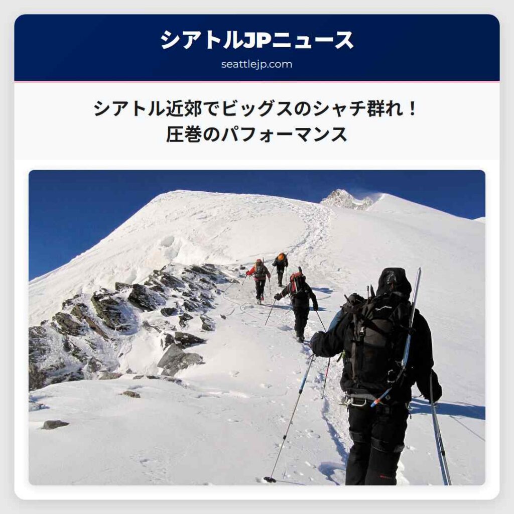 シアトル近郊でビッグスのシャチ群れ！圧巻のパフォーマンス