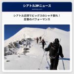 ウェストシアトル近郊でビッグスのシャチ群れが目撃される