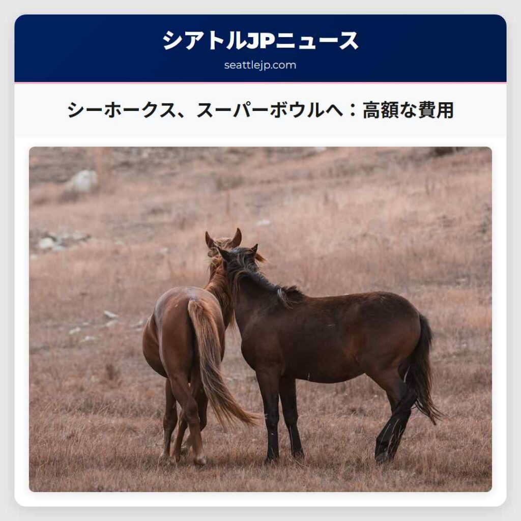 シーホークス、スーパーボウルへ：高額な費用