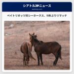 スーパーボウルLX セット：ペイトリオッツ対シーホークス、11年ぶりのリマッチ