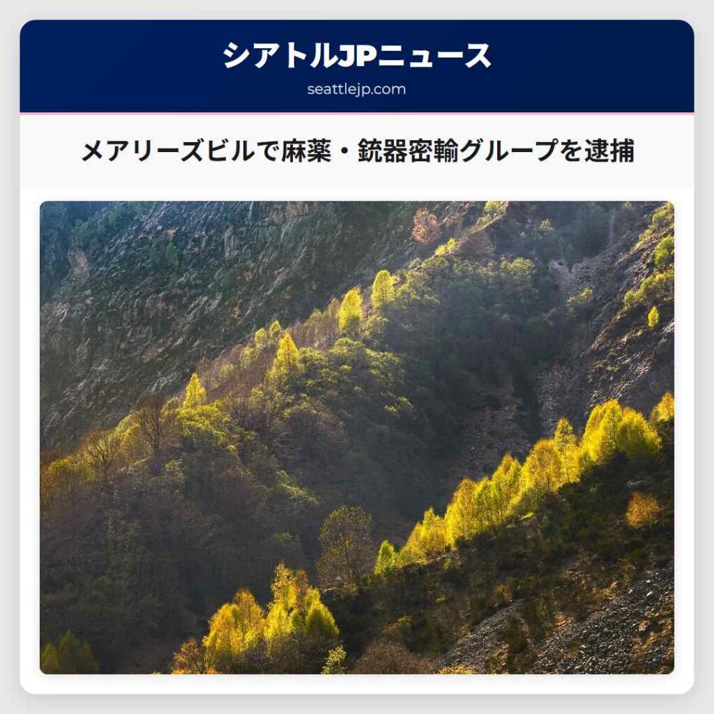 メアリーズビルで麻薬・銃器密輸グループを逮捕