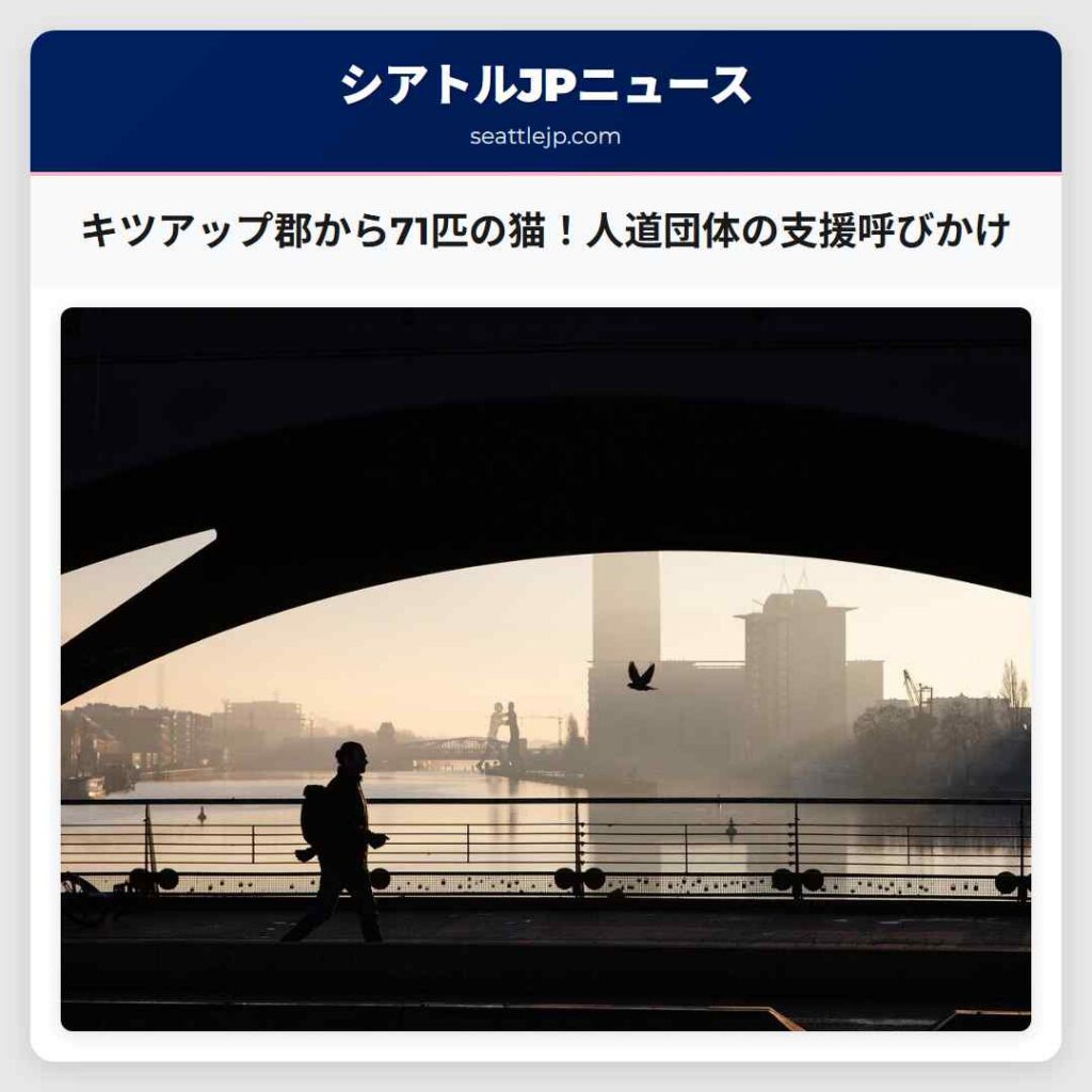シアトルニュース 4 キツアップ郡から71匹の猫!人道団体の支援呼びかけ