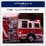 ゴールドバー近郊でフェンタニル中毒の疑いがある子犬6匹を救出、治療中