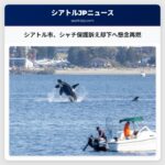 シアトル市、保護訴え却下申請を決定、サザンレジデント型シャチへの懸念が再燃