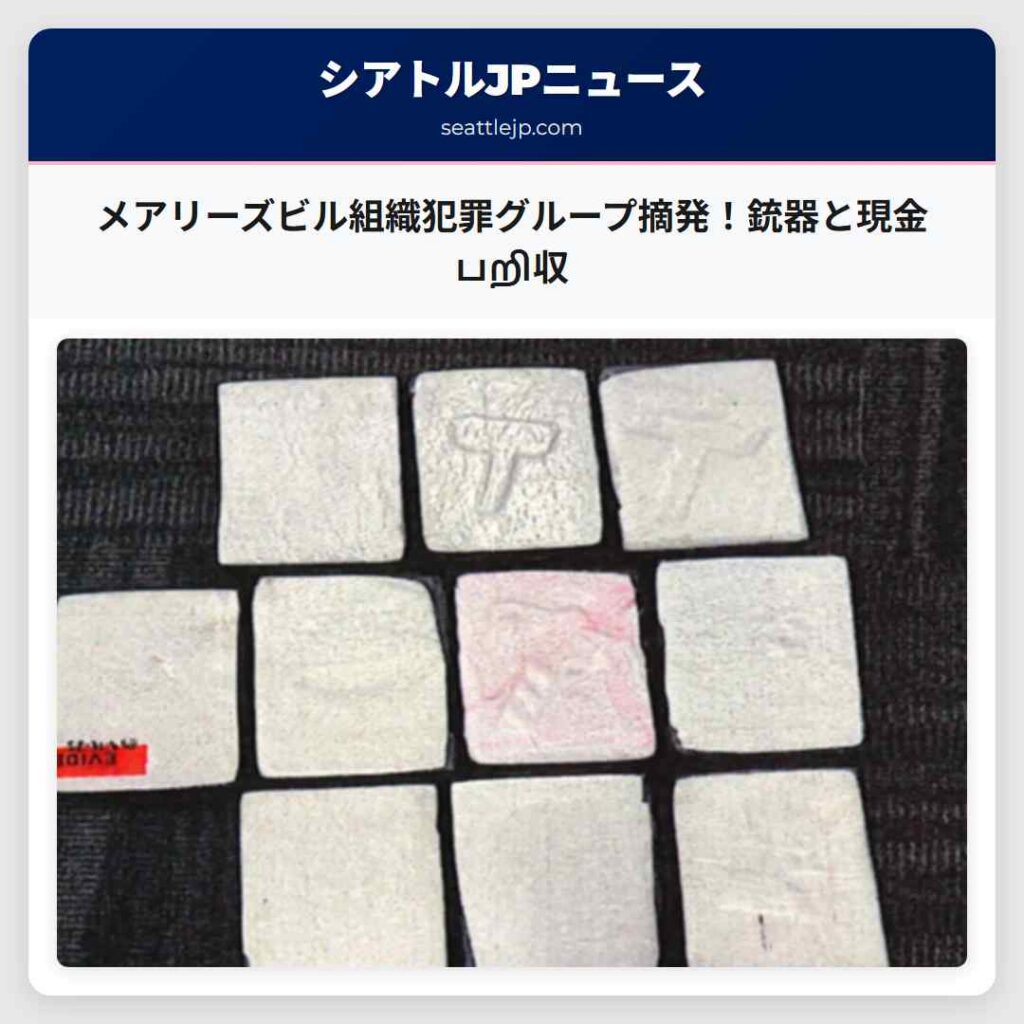 メアリーズビル組織犯罪グループ摘発！銃器と現金 பறி収