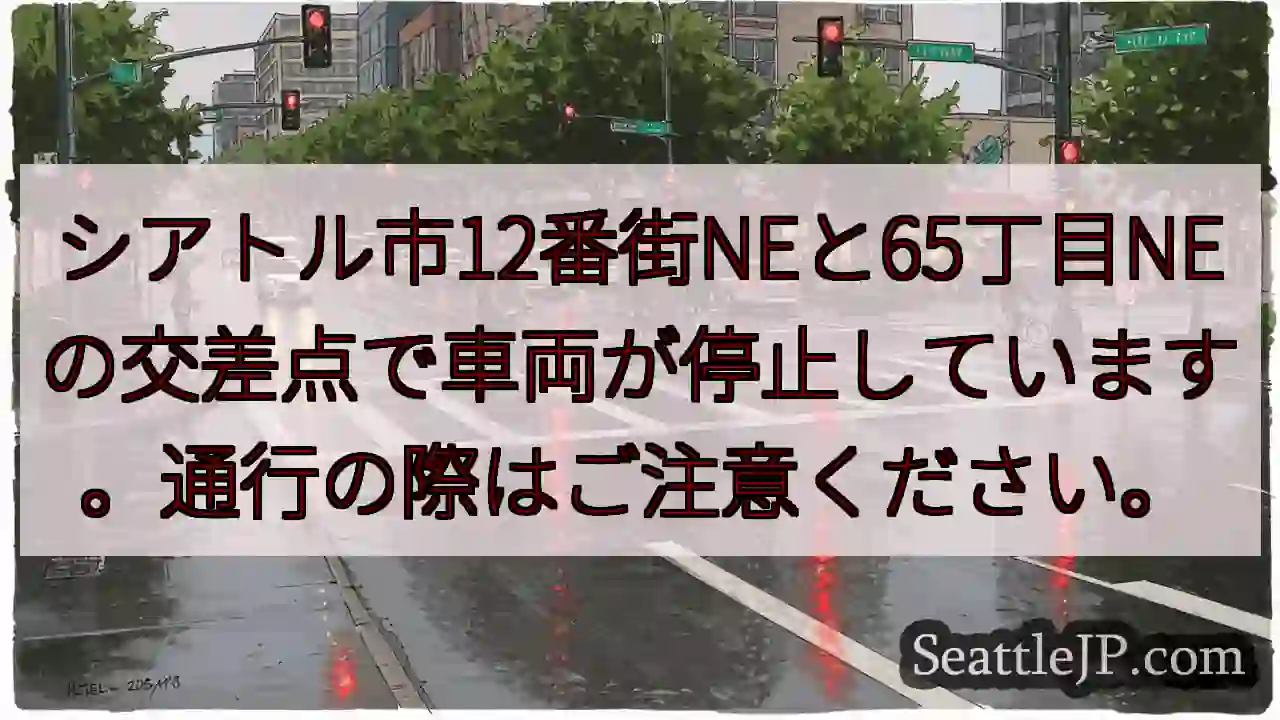 12丁目NE/65丁目NE交差点 交通規制