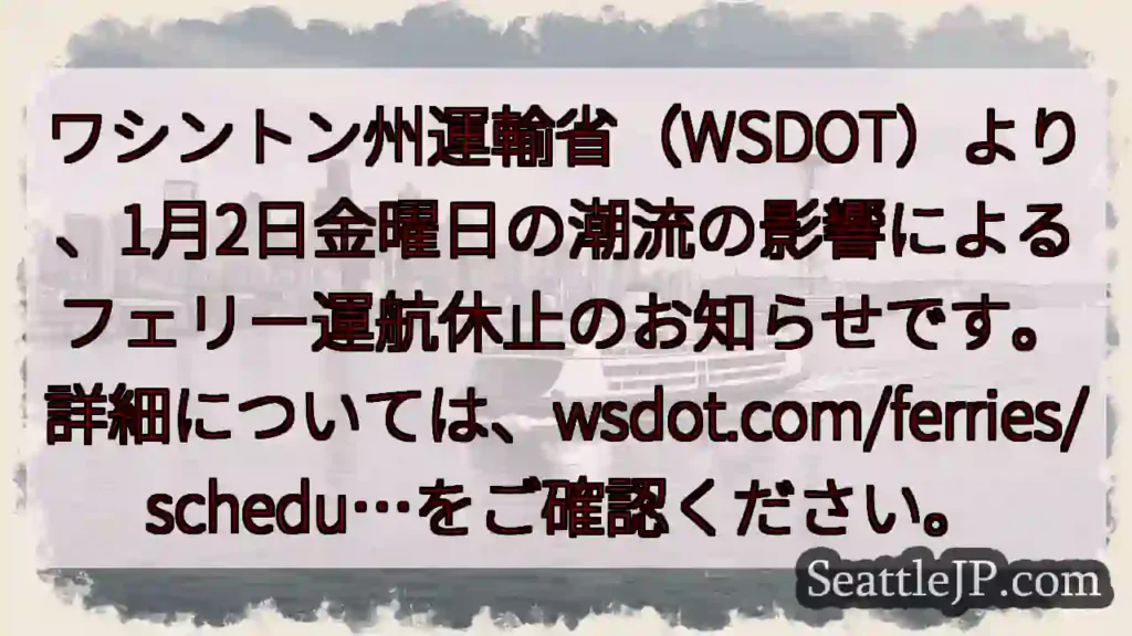 フェリー運航停止：潮流の影響