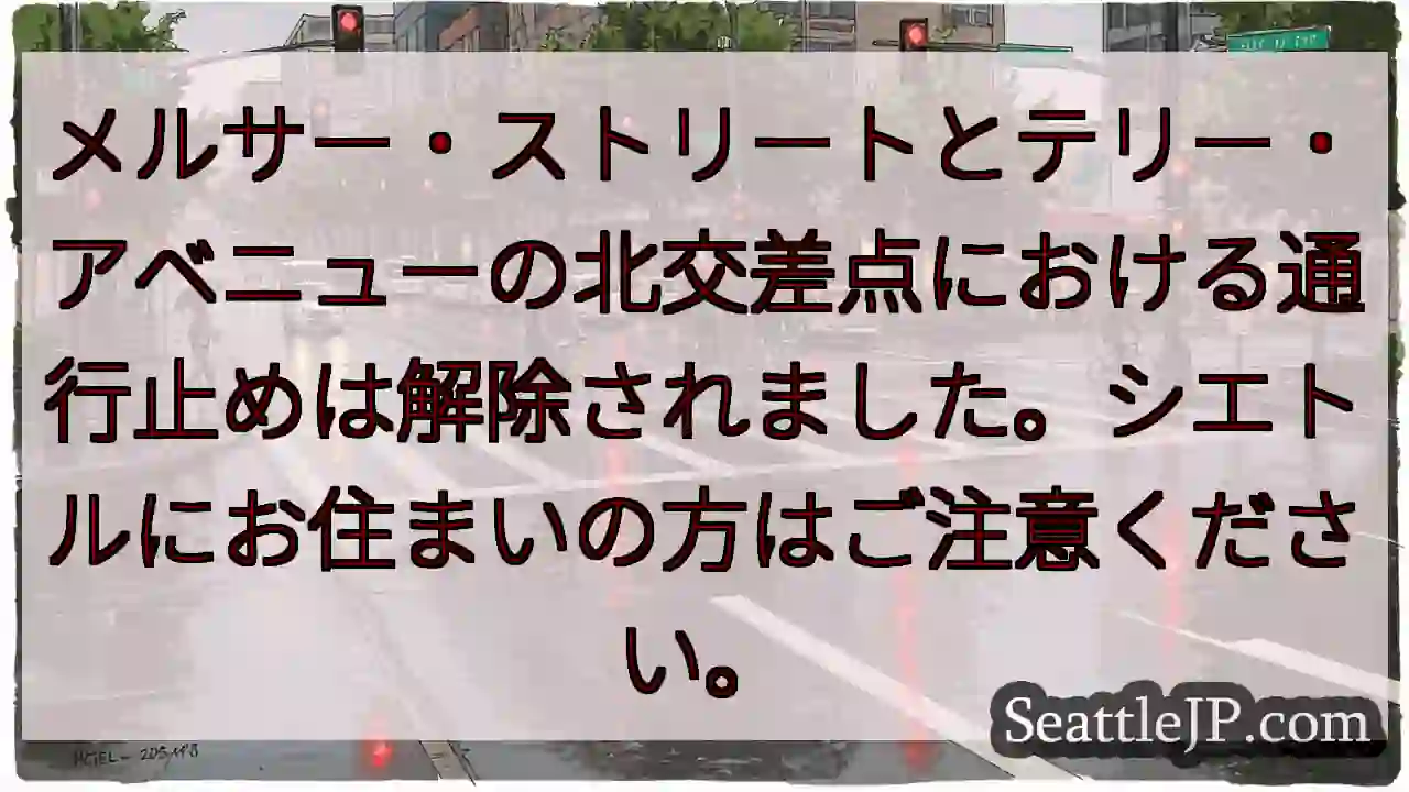 通行止め解除！メルサー・ストリート