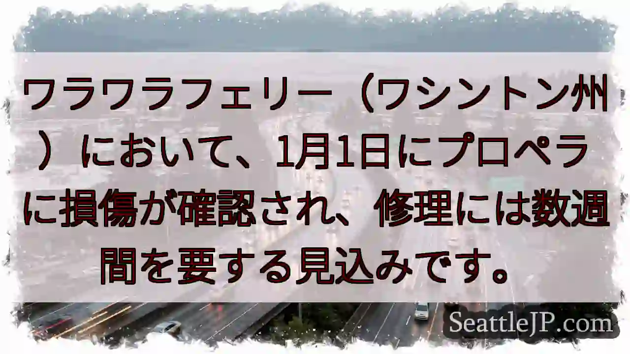 ワラワラフェリー 損傷！修理に数週間