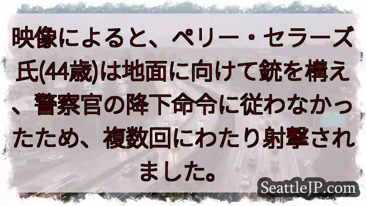 銃を構え、警察に撃たれる