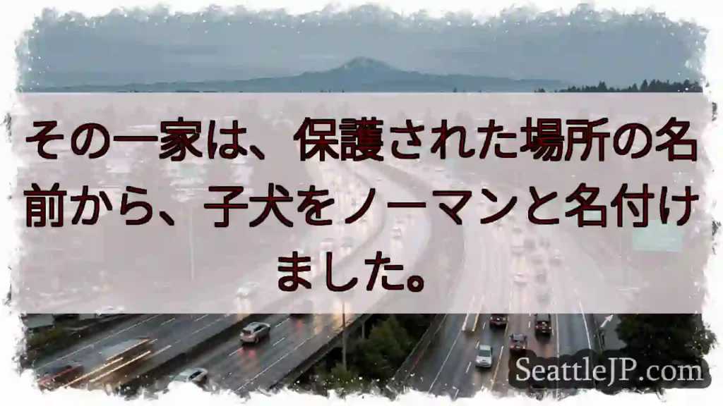 ノーマン、その名に由来