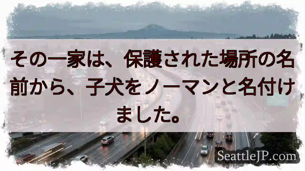 ノーマン、その名に由来