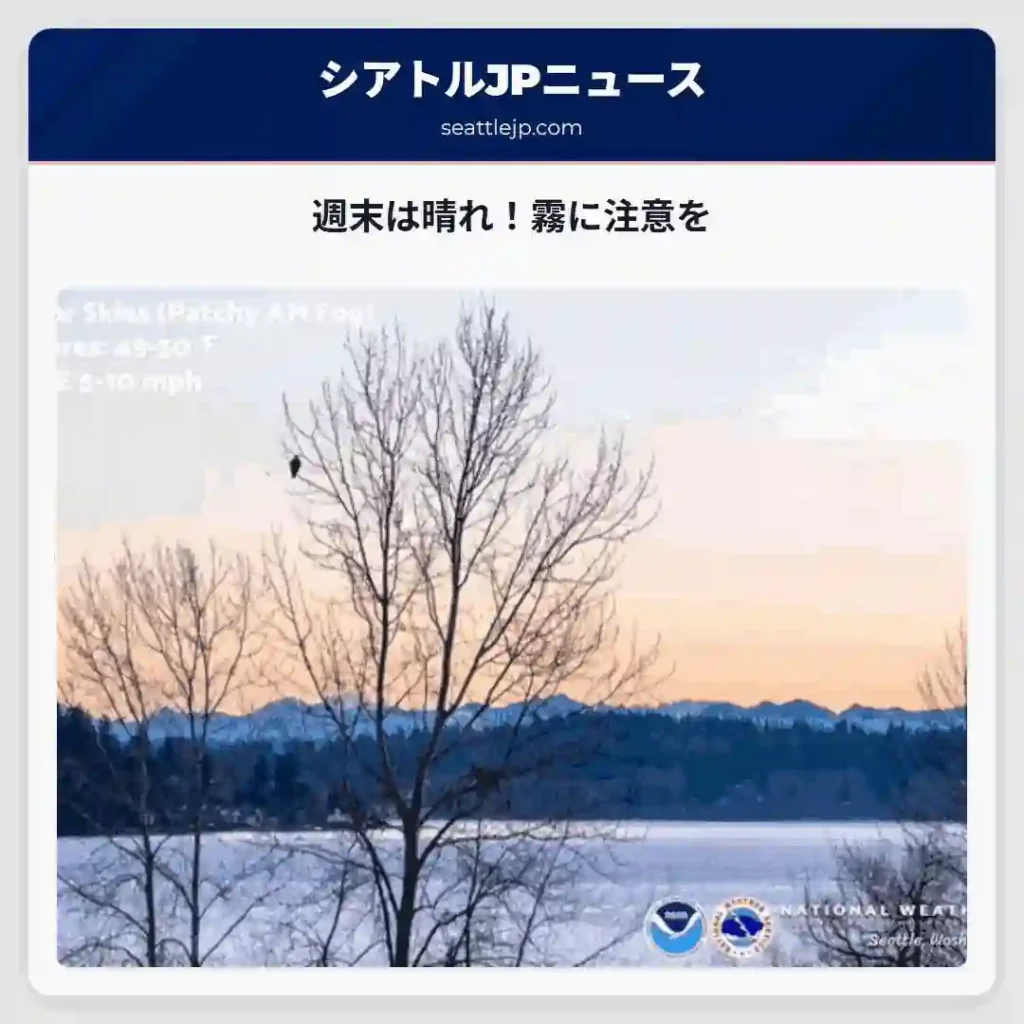 週末は晴れ！霧に注意を