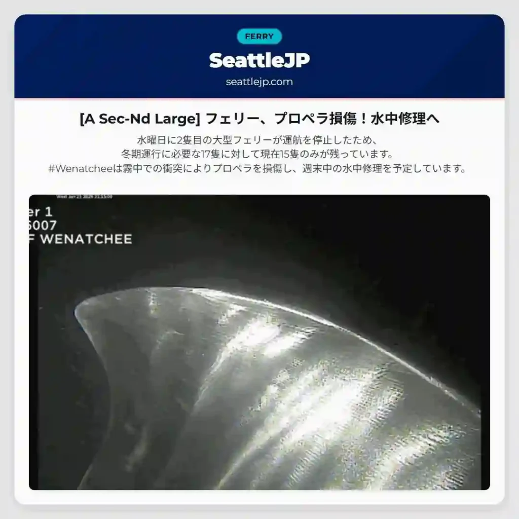 [A Sec-Nd Large] フェリー、プロペラ損傷！水中修理へ