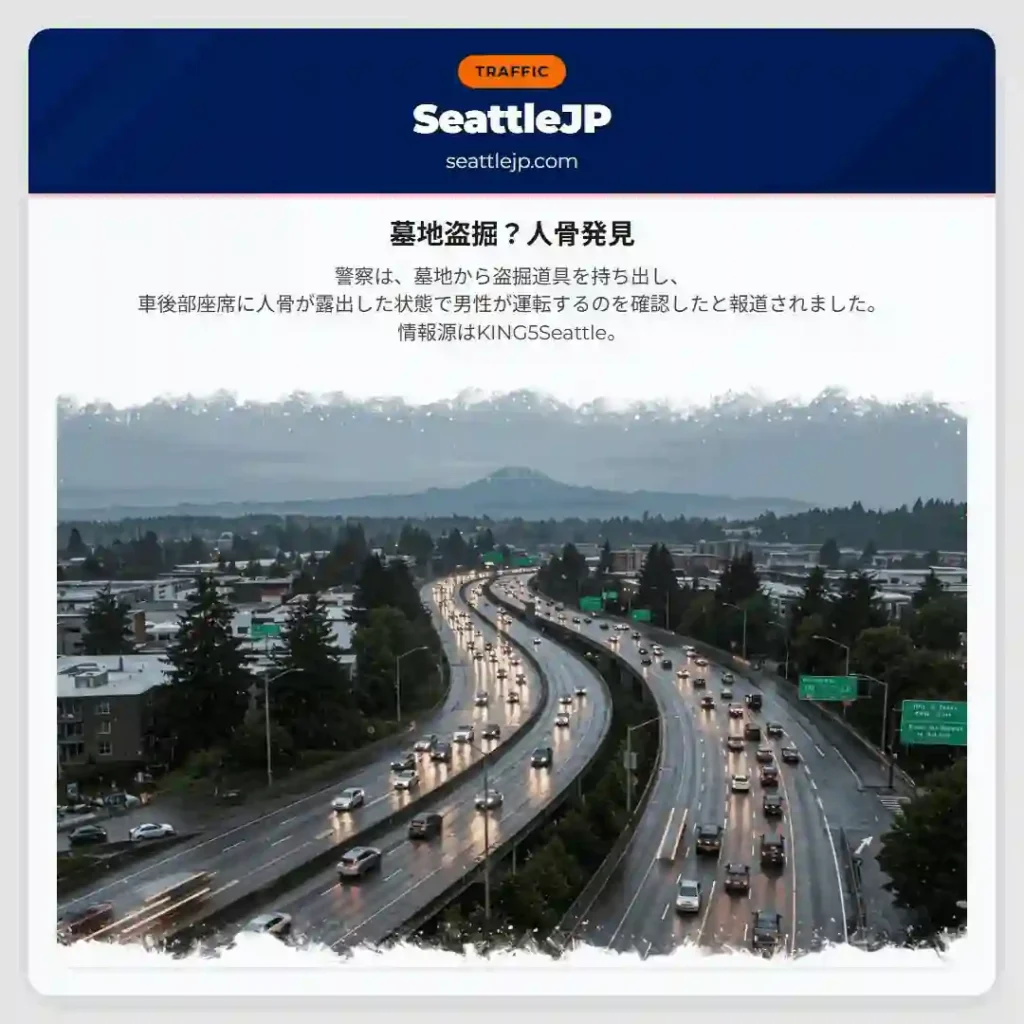 墓地盗掘？人骨発見