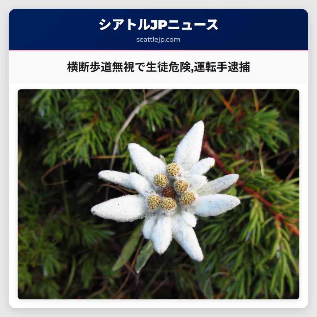 横断歩道無視で生徒危険,運転手逮捕