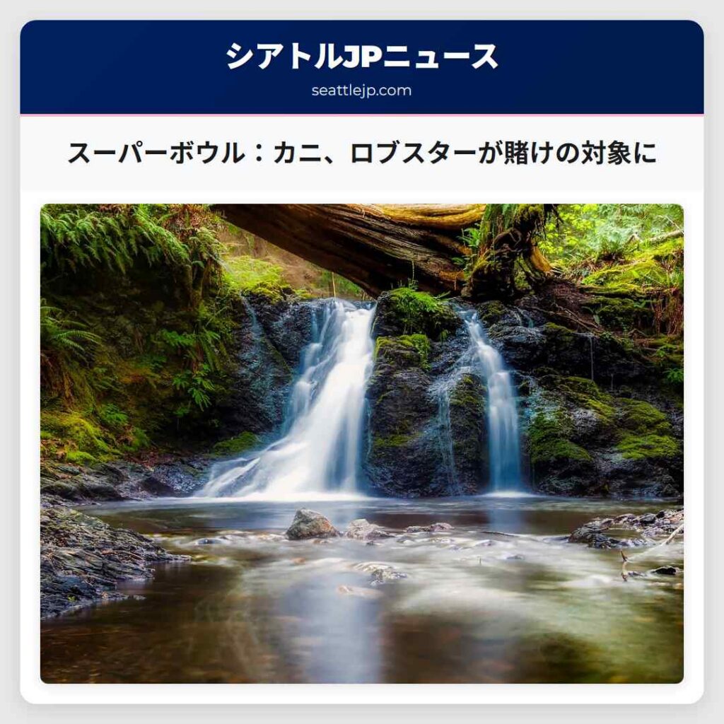 スーパーボウル：カニ、ロブスターが賭けの対象に