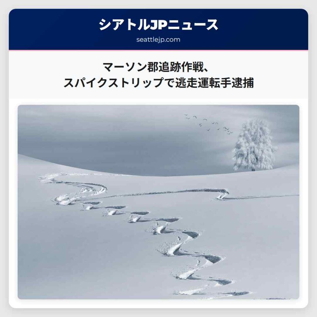 マーソン郡追跡作戦、スパイクストリップで逃走運転手逮捕