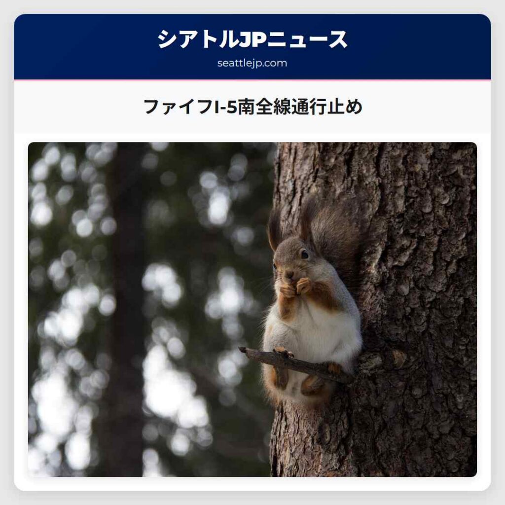 ファイフI-5南全線通行止め