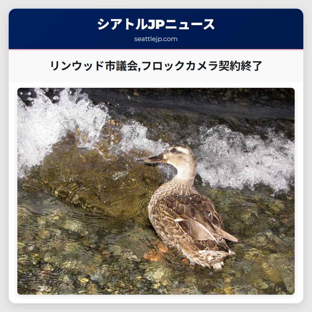 リンウッド市議会,フロックカメラ契約終了