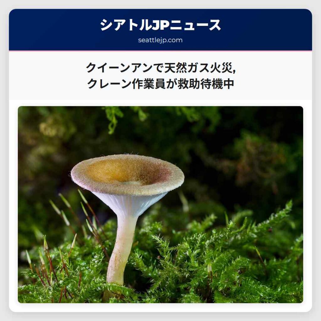 クイーンアンで天然ガス火災,クレーン作業員が救助待機中