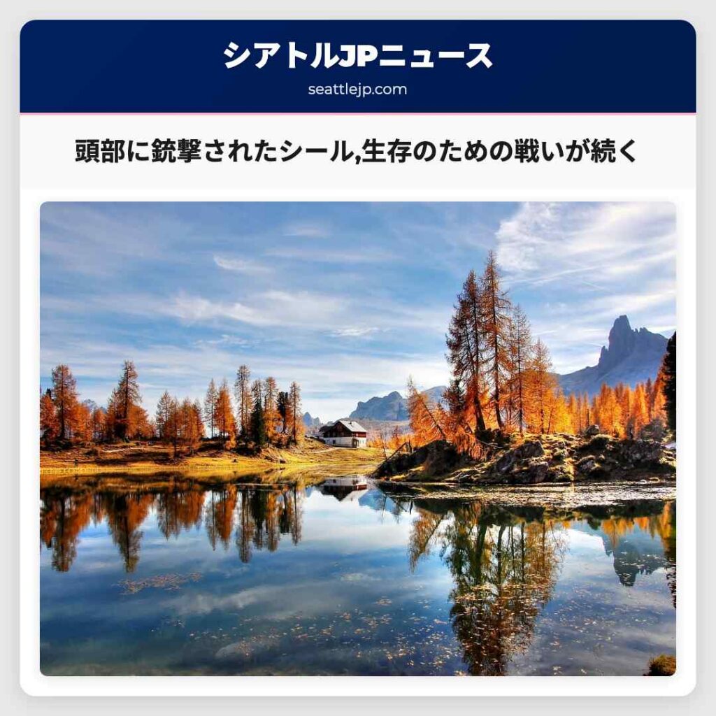 頭部に銃撃されたシール,生存のための戦いが続く