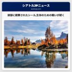 頭部に銃撃されたシール生存のための戦いが続く