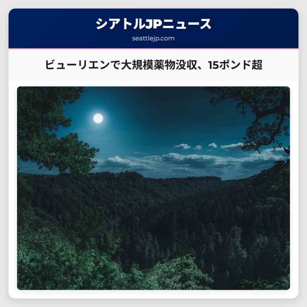 ビューリエンで大規模薬物没収、15ポンド超