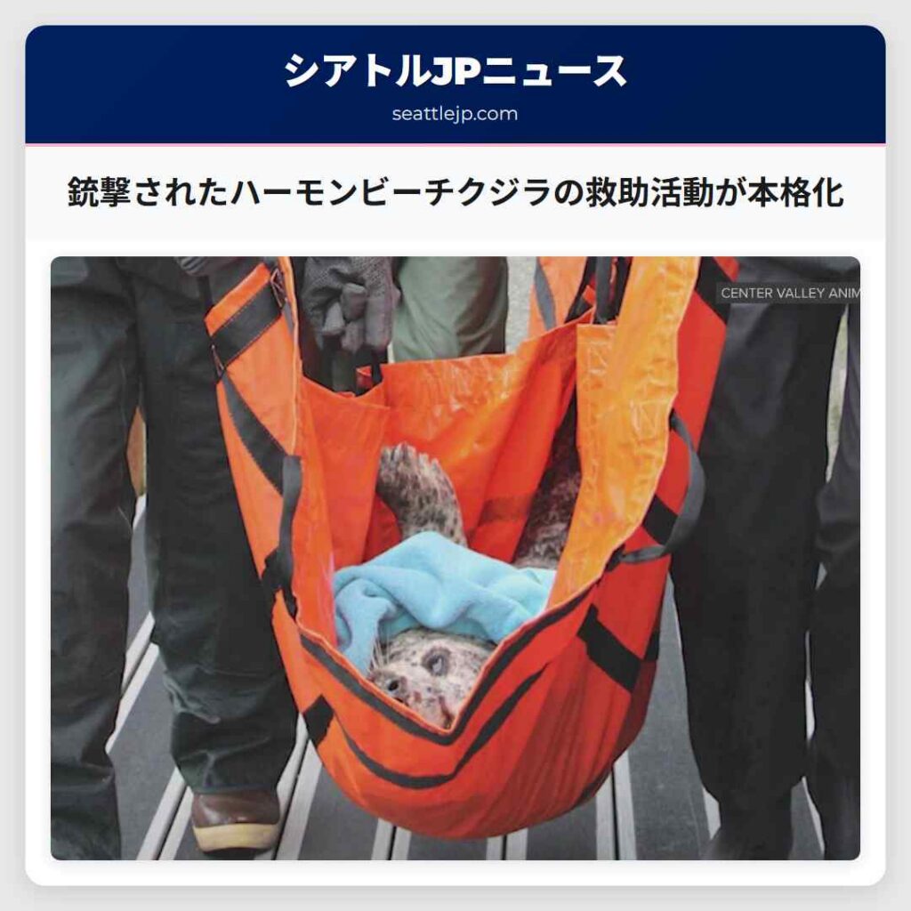 銃撃されたハーモンビーチクジラの救助活動が本格化