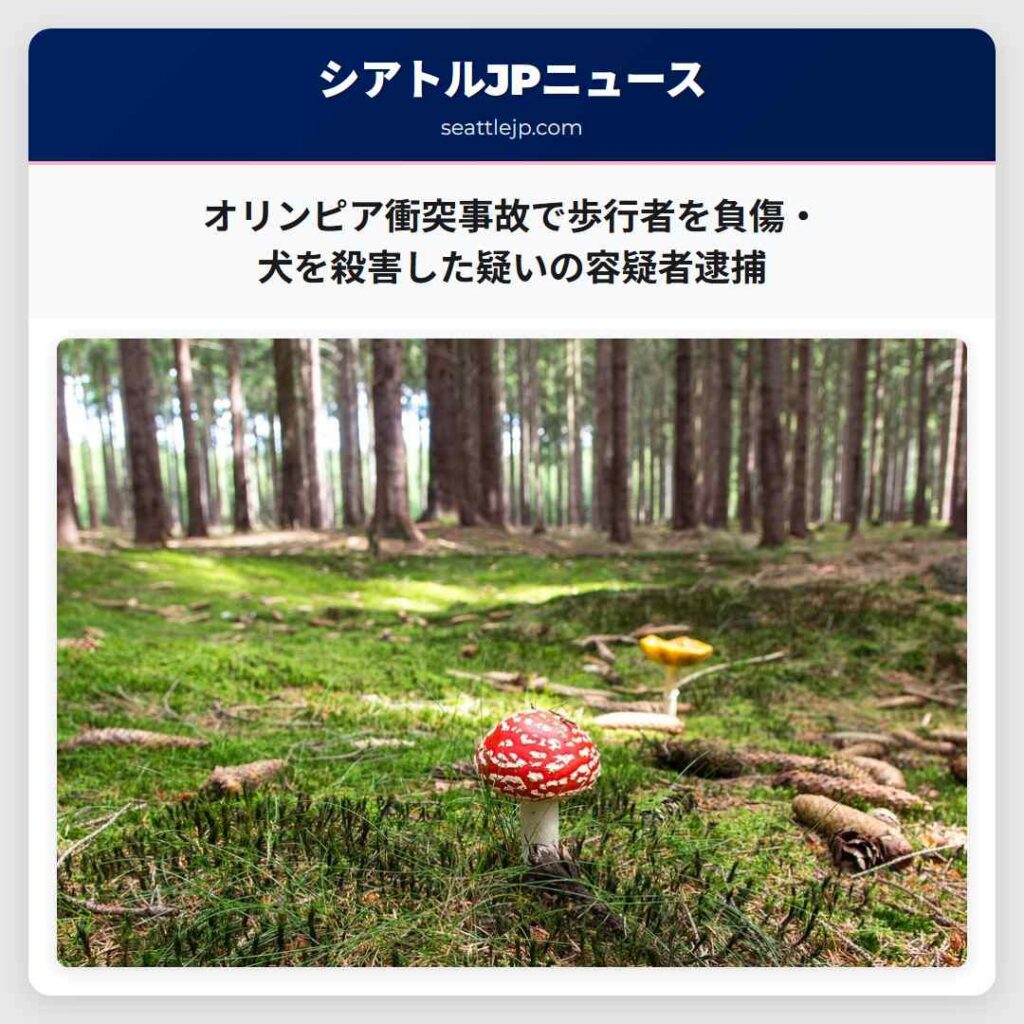 オリンピア衝突事故で歩行者を負傷・犬を殺害した疑いの容疑者逮捕