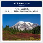 ジャマイカ出身被告バンクーバー高齢者から55万ドル詐欺で有罪判決