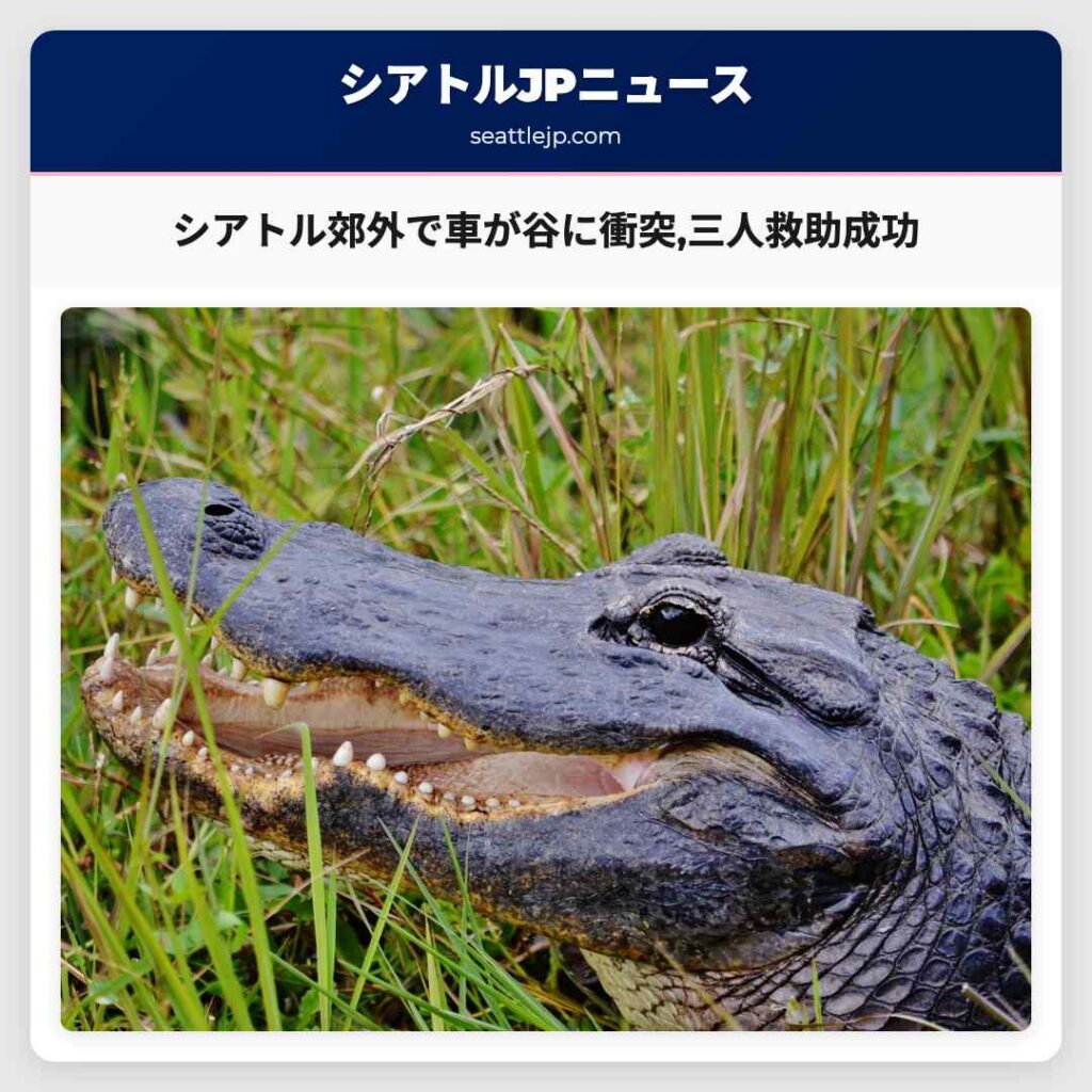 シアトル郊外で車が谷に衝突,三人救助成功