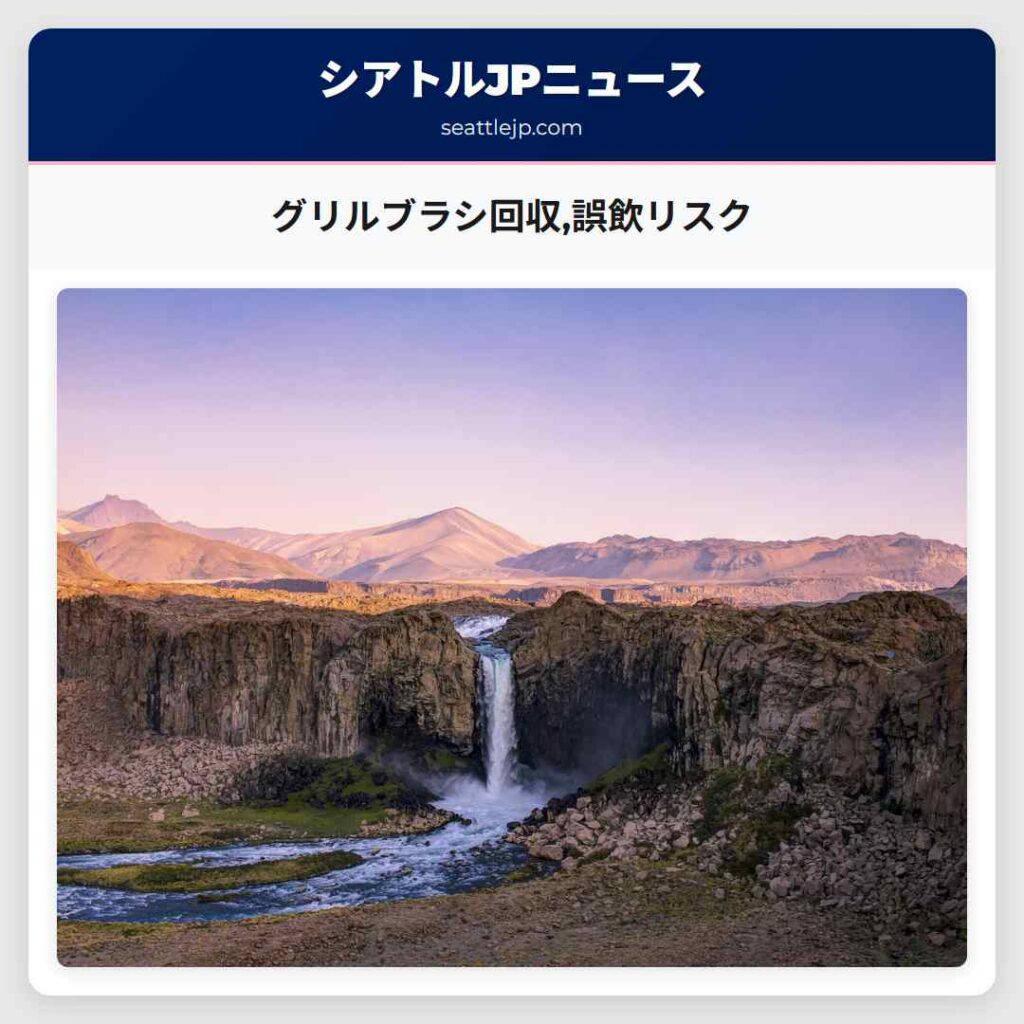 グリルブラシ回収,誤飲リスク