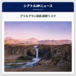 注意喚起：320万本のグリルブラシが回収ワイヤーの断裂や誤飲リスク