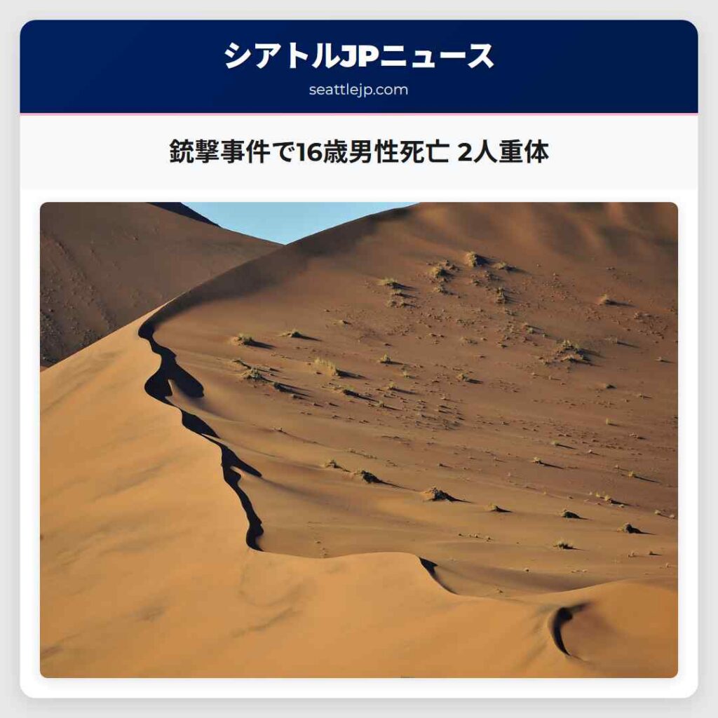 銃撃事件で16歳男性死亡 2人重体