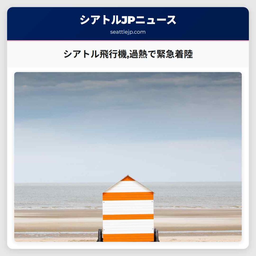 シアトル飛行機,過熱で緊急着陸