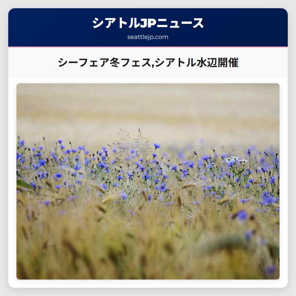 シーフェア冬フェス,シアトル水辺開催