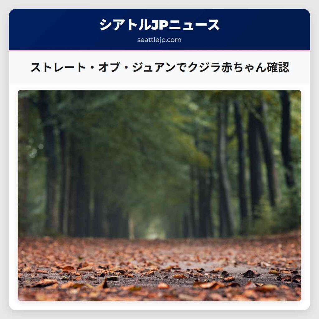 ストレート・オブ・ジュアンでクジラ赤ちゃん確認