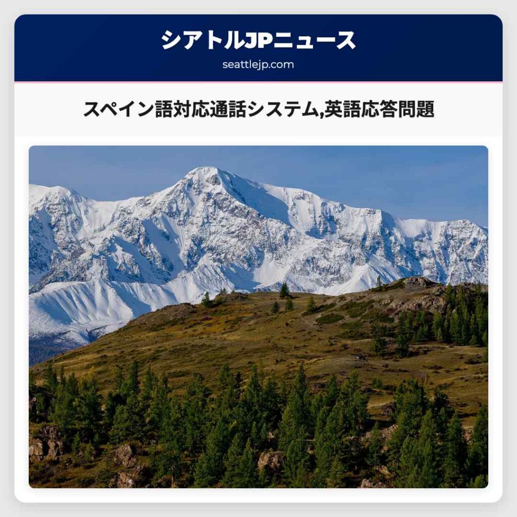 スペイン語対応通話システム,英語応答問題