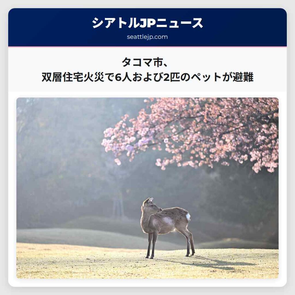 タコマ市、双層住宅火災で6人および2匹のペットが避難