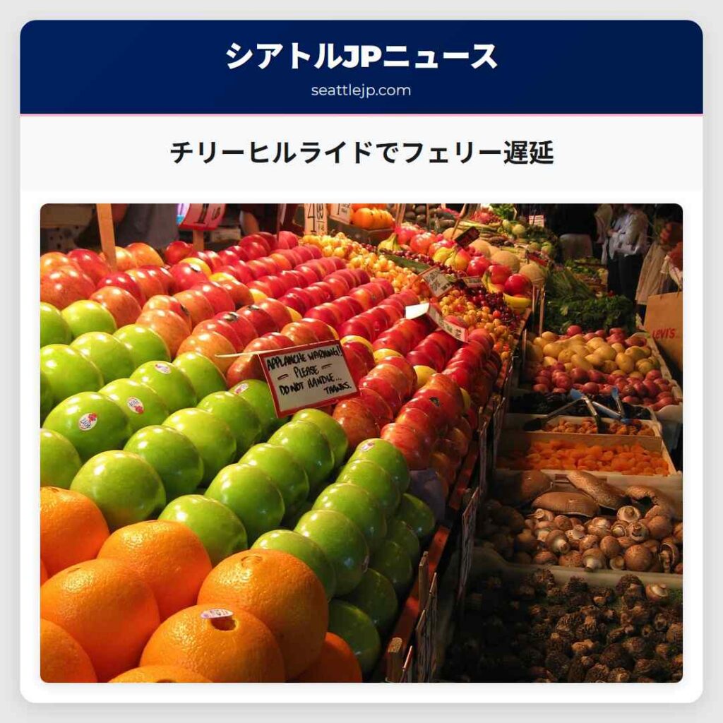 チリーヒルライドでフェリー遅延