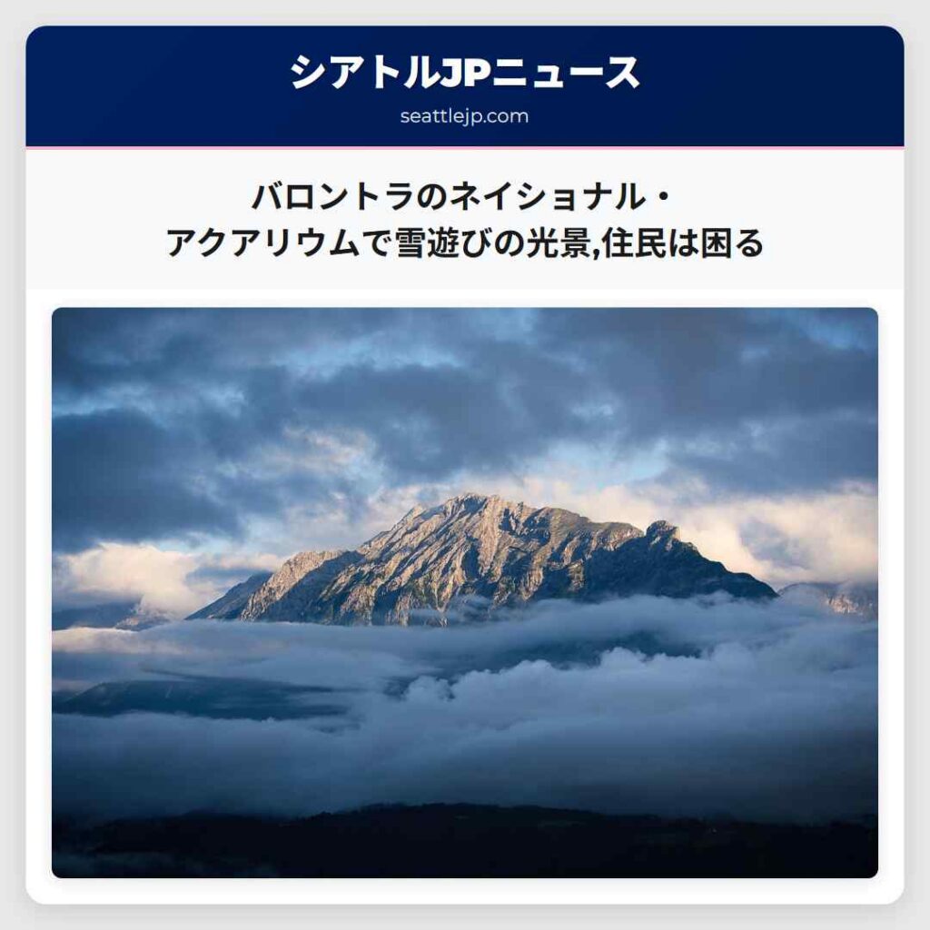 バロントラのネイショナル・アクアリウムで雪遊びの光景,住民は困る