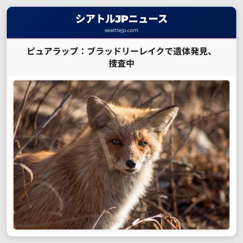 ピュアラップ：ブラッドリーレイクで遺体発見、捜査中