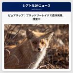 ピュアラップ：ブラッドリーレイクパークで発見された遺体、警察が死亡事件を捜査中